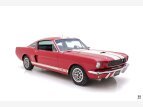 Thumbnail Photo 1 for 1966 Shelby GT350